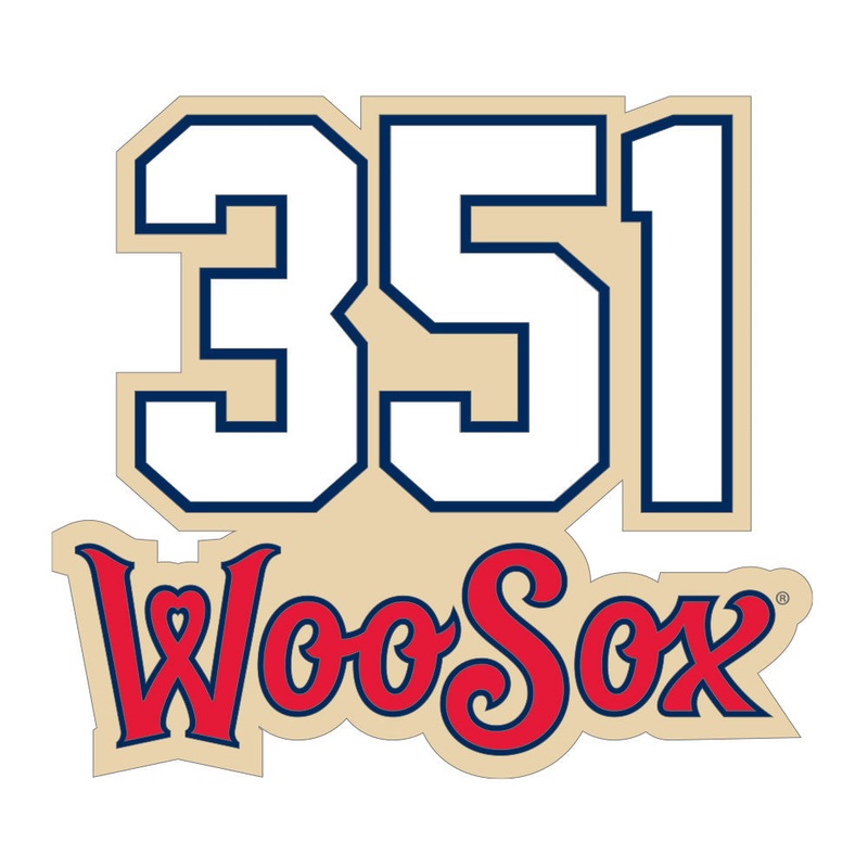 Worcester Red Sox 351 Area Code Magnet