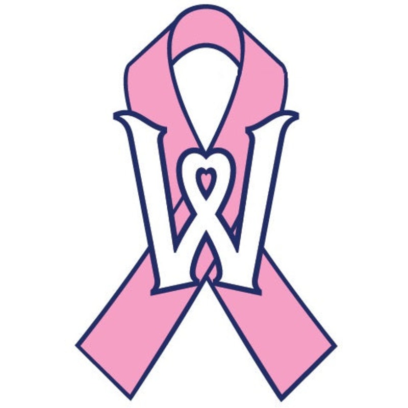 Worcester Red Sox Pink BCA Pin