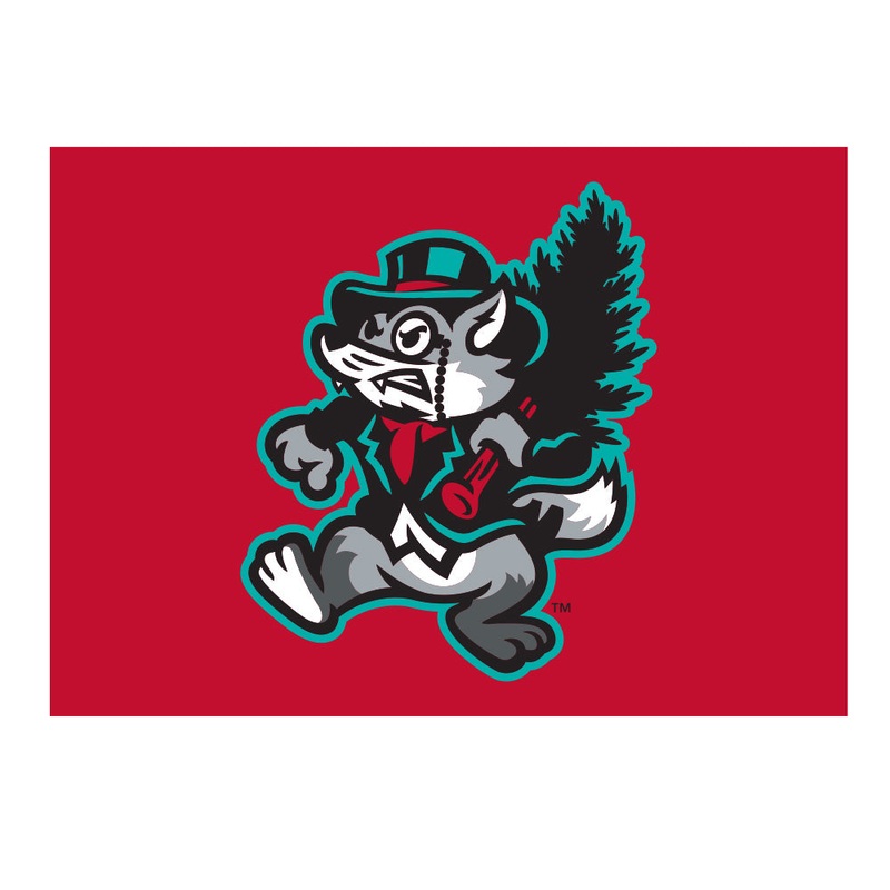Jersey Shore BlueClaws TNC Shine Barons Primary Logo Fridge Magnet