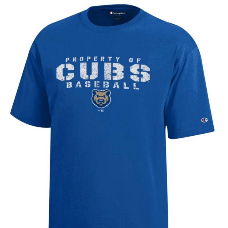 Kid’s Iowa Cubs Champion Short Sleeved Tee