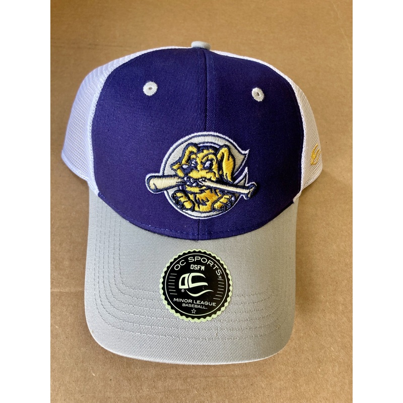 Charleston RiverDogs OC Navy and Gray Mesh Cap