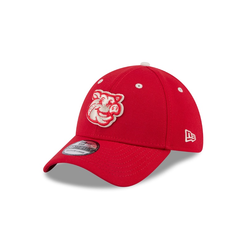 Lehigh Valley IronPigs Retro Fauxback Friday 3930