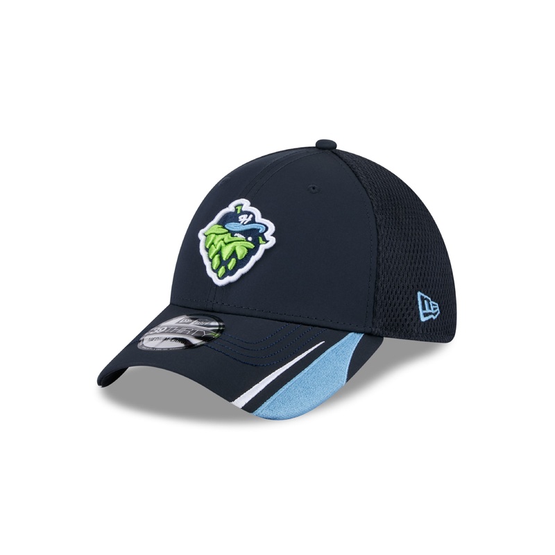 New Era Linear 39THIRTY Cap