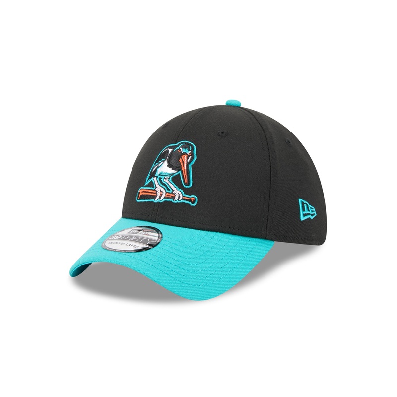Chesapeake Baysox Oystercatchers New Era BLACK 39Thirty
