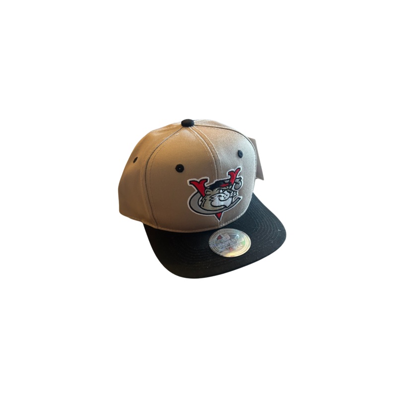 Dynasty Tan and Black Snapback Cap