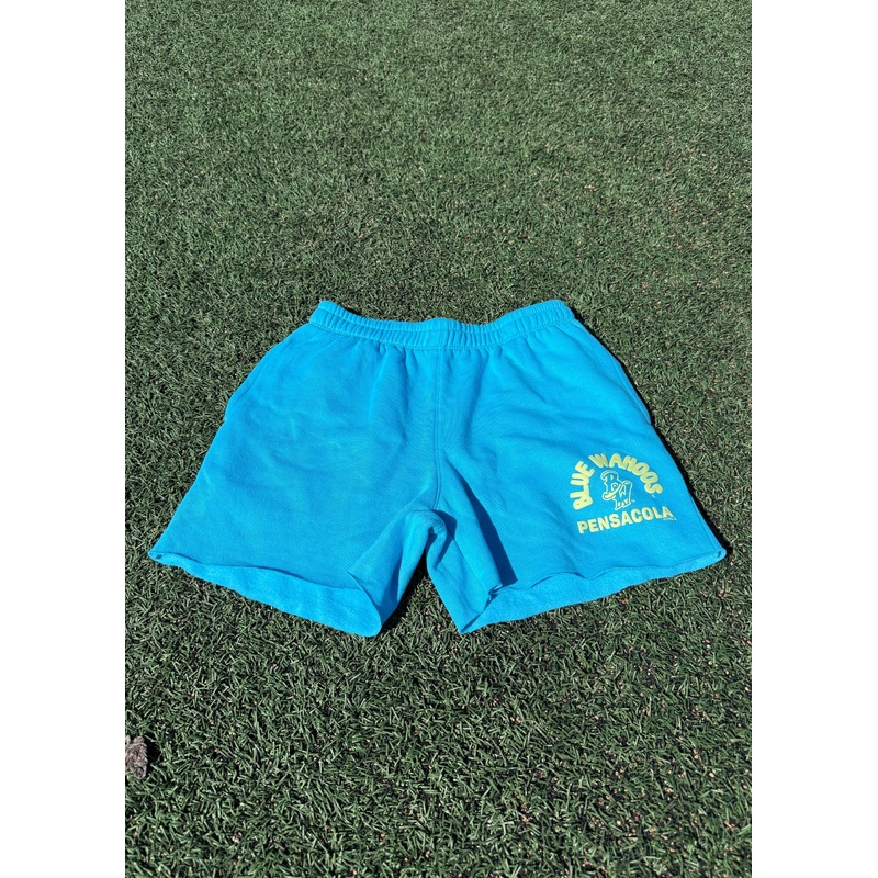 Pensacola Blue Wahoos ’47 Brighten Up Venice Shorts