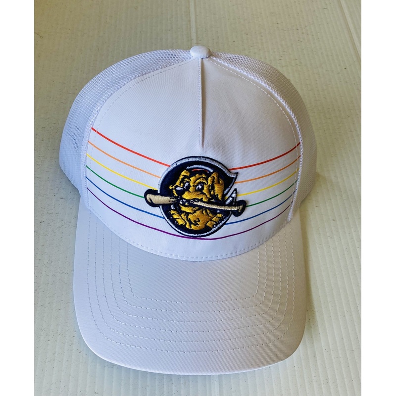 Charleston RiverDogs OC White Prism Cap