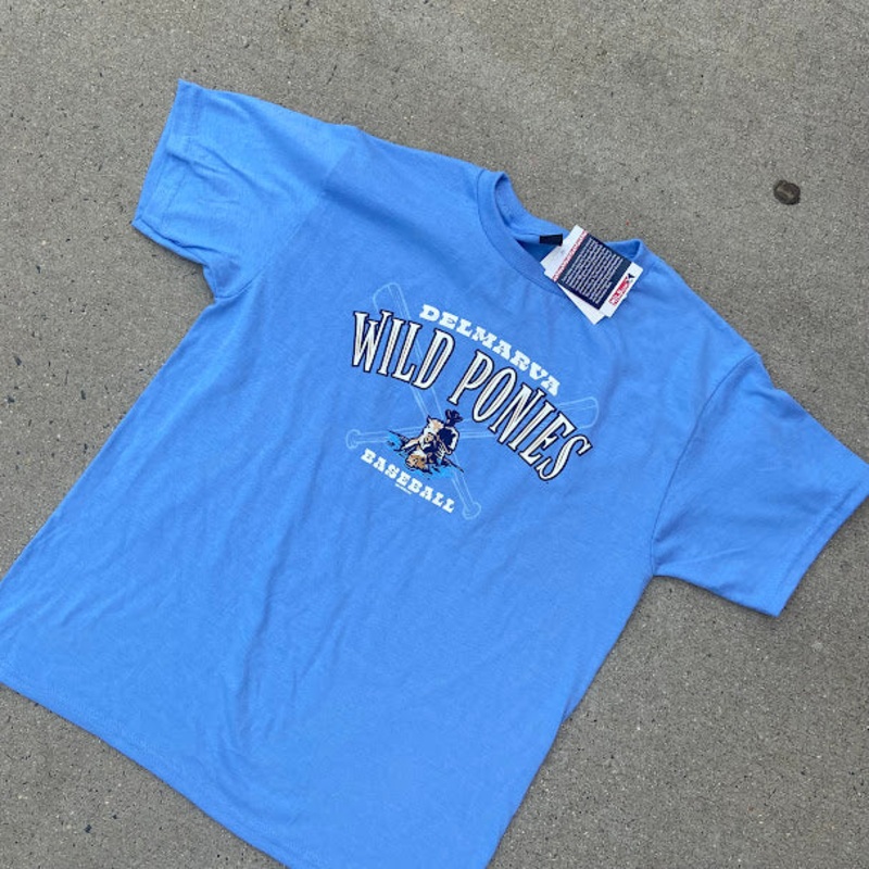 Delmarva Shorebirds Bimm Ridder Youth Roost Wild Ponies Tee