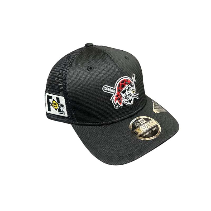 2025 Spring Training Strech Fit Hat
