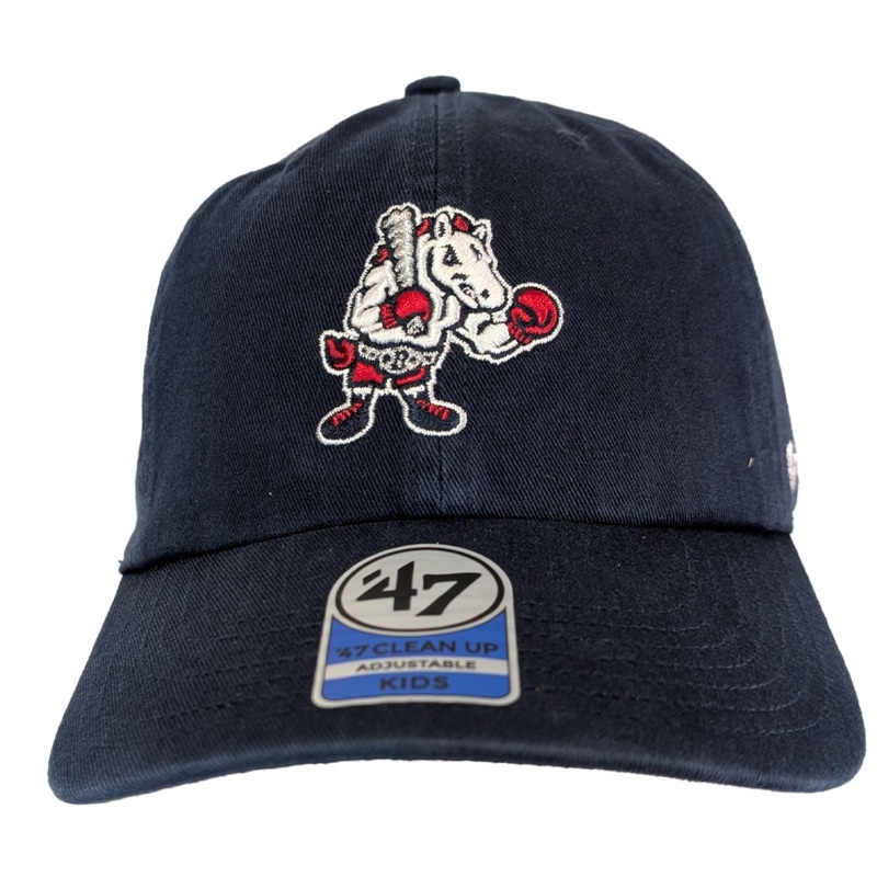 ’47 Brand Youth Navy Clean Up