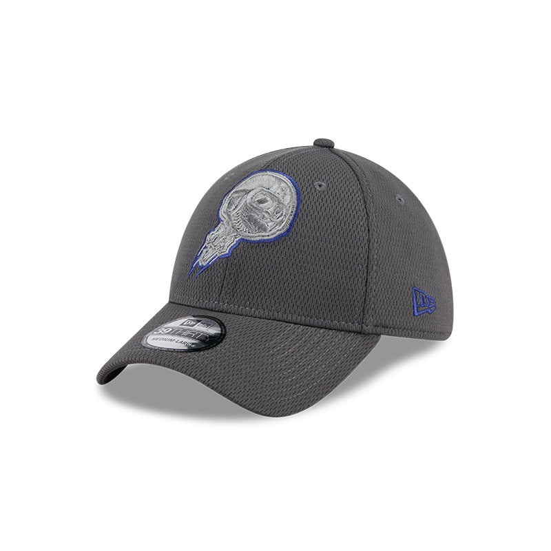 New Era Tonal Grey 39THIRTY Cap