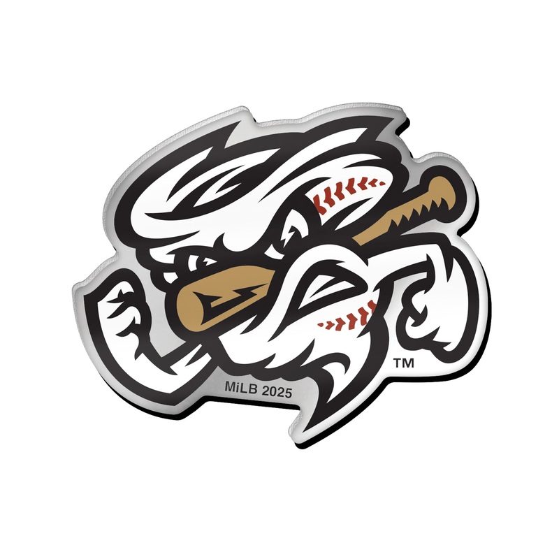 Omaha Storm Chasers Wincraft Vortex Collector Pin