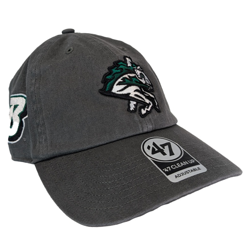 Binghamton Rumble Ponies X Binghamton Bearcats Shot Clean Up Hat