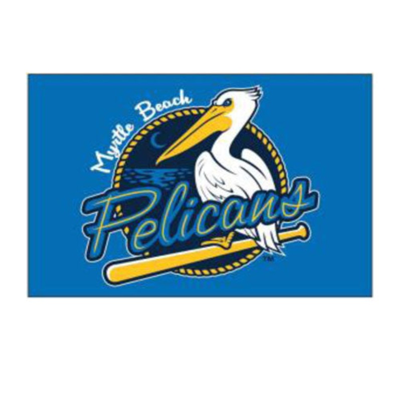 Myrtle Beach Pelicans Wincraft 2″x 3″ Primary Logo Fridge Magnet