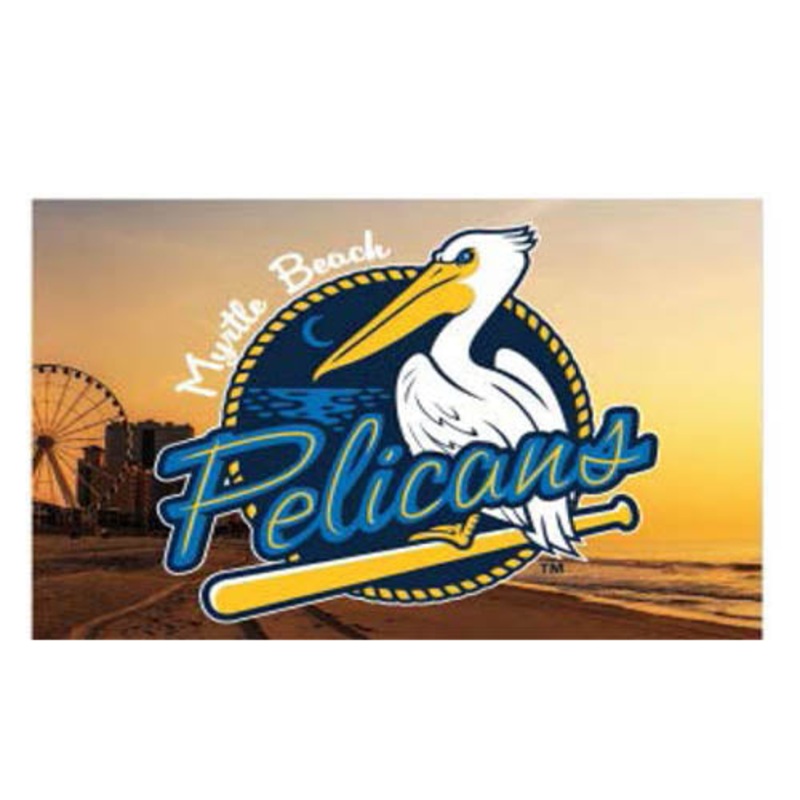 Myrtle Beach Pelicans Wincraft Metal 2″ x 3″ Beach Fridge Magnet