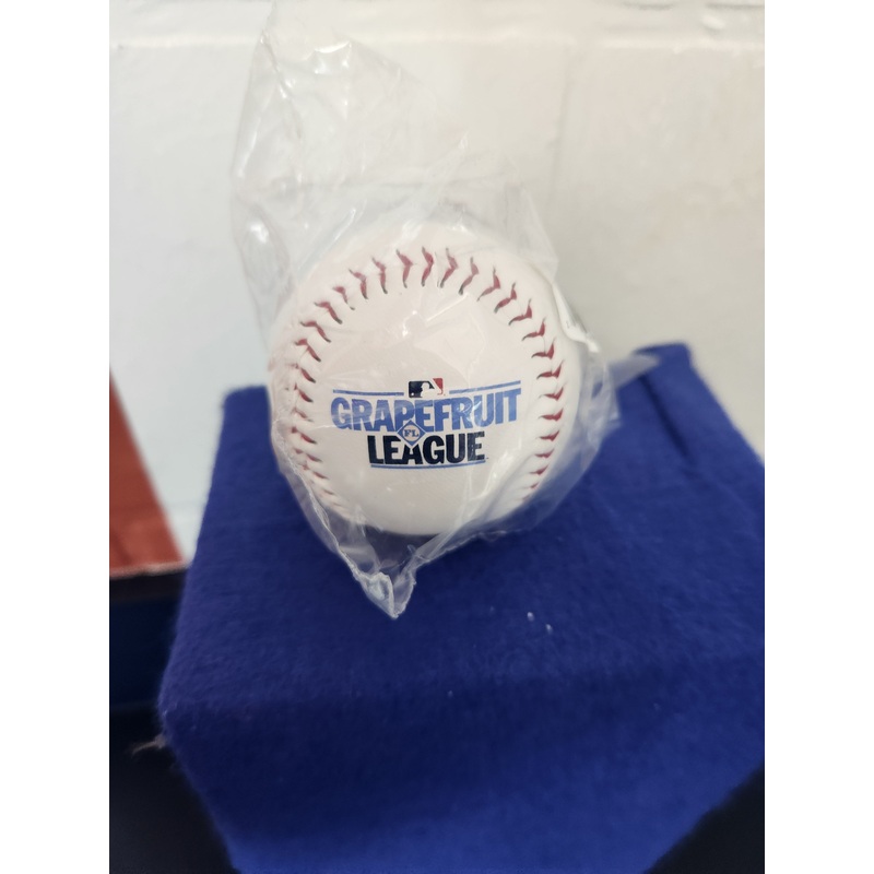 ST25 Detroit Tigers ST Logo Baseball
