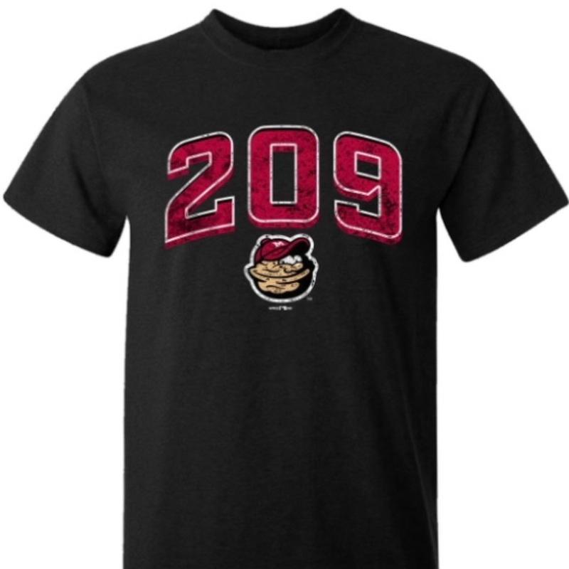 Wally 209