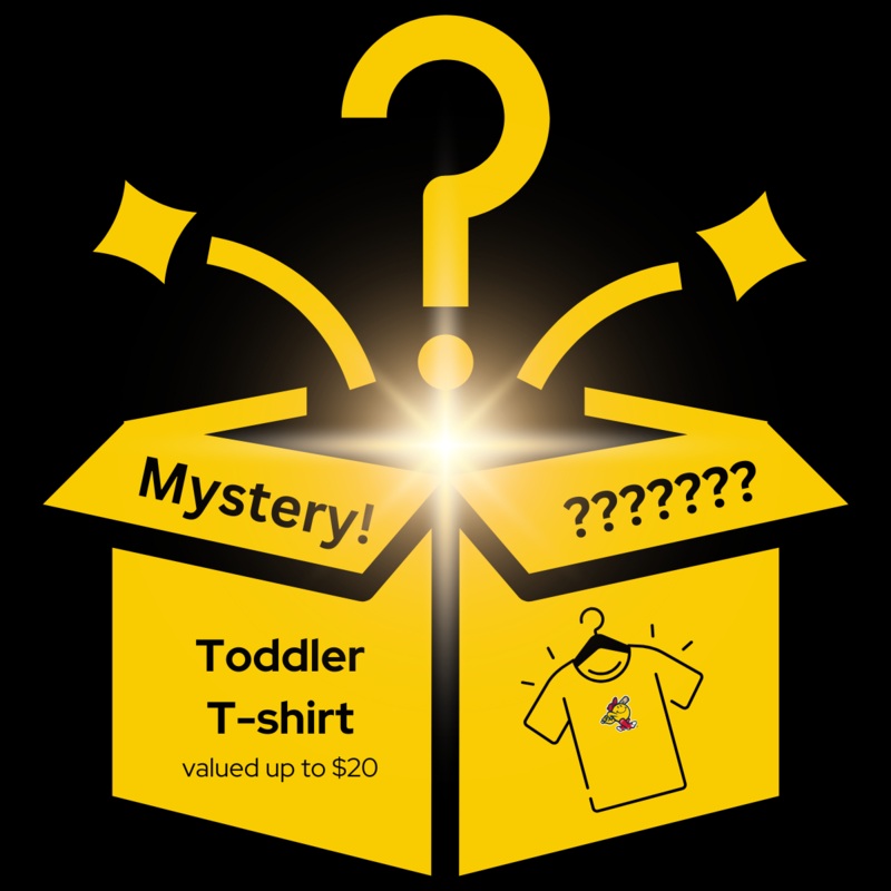 Worcester Red Sox ’25 Mystery Box Toddler T-shirt