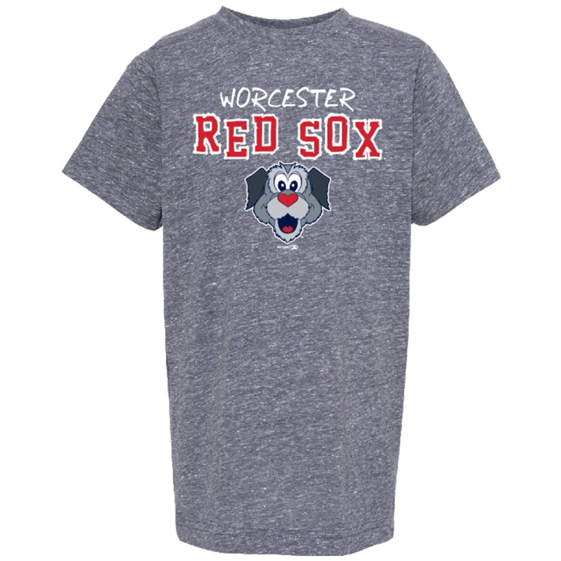Worcester Red Sox Navy Melange Youth Beartooth Tee