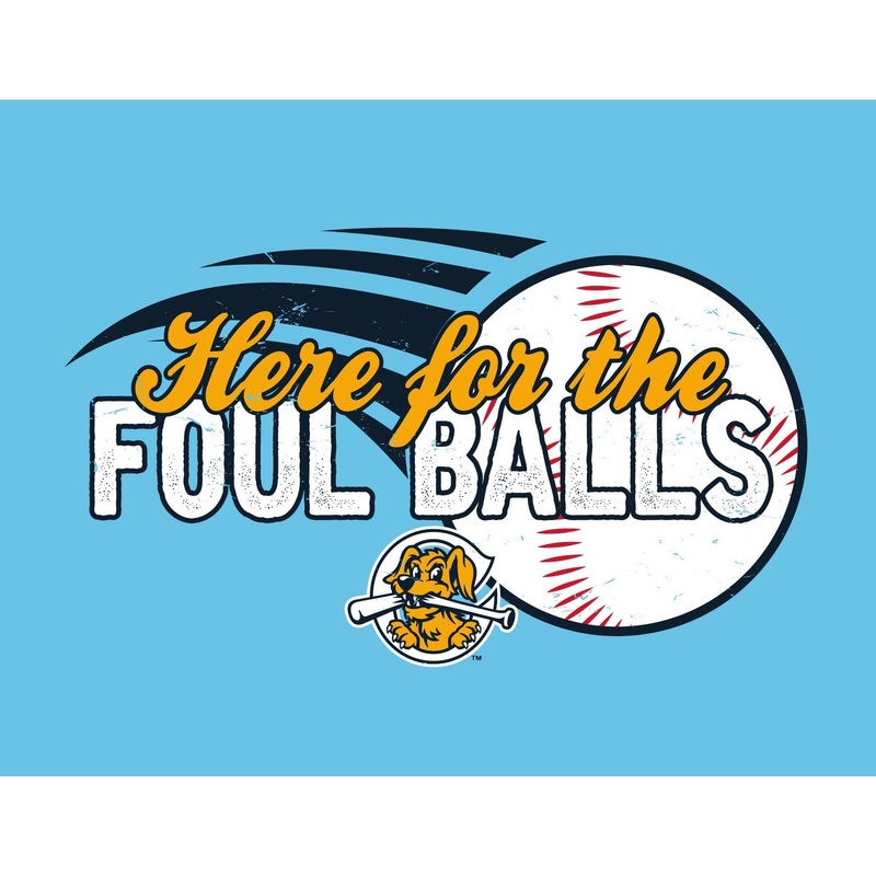 Charleston RiverDogs Youth Here for the Foul Balls Tee