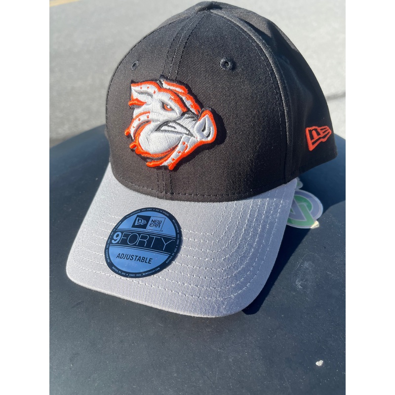 Lehigh Valley IronPigs Molten 2.0 New Era 940 Cap