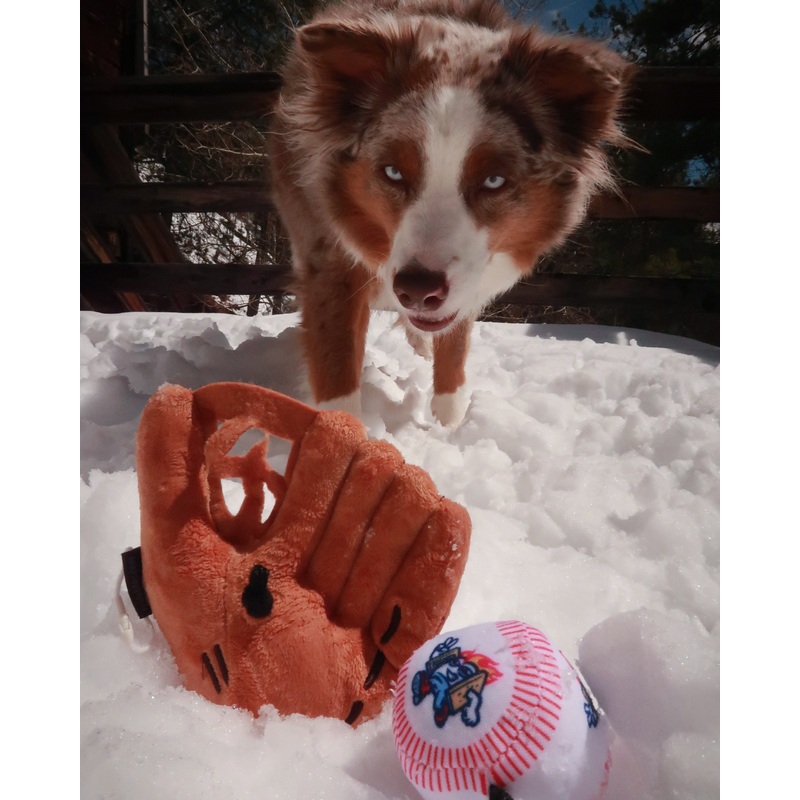 Mitt & Ball Plush Dog Toy