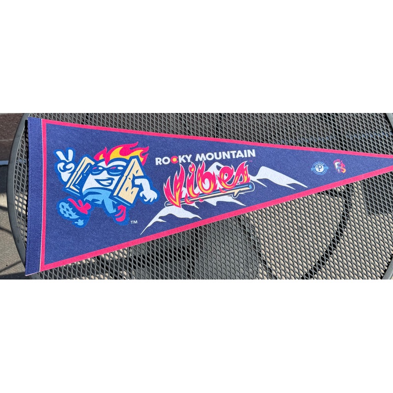 Navy Vibes Pennant
