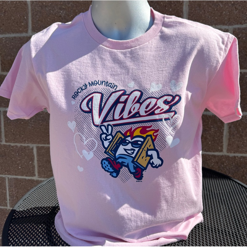 Pink Hearts Toasty Youth T-Shirt
