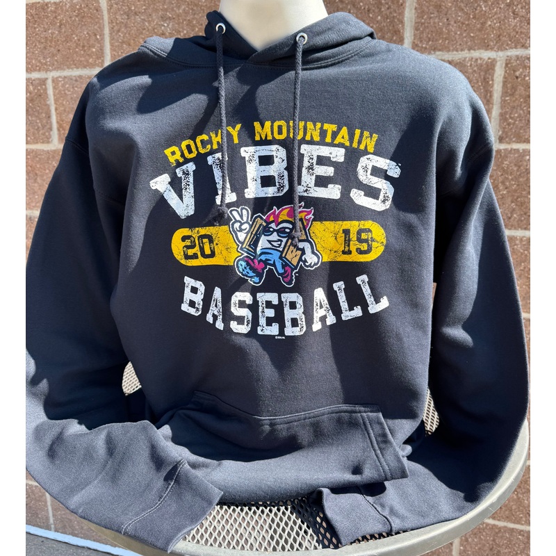 Vibes Established Hoodie