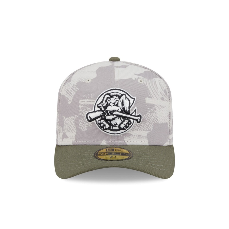 Charleston RiverDogs Armed Forces Day 59FIFTY Fitted Cap