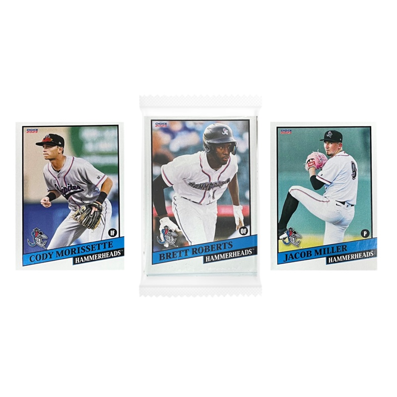 2023 Jupiter Hammerheads Team Set