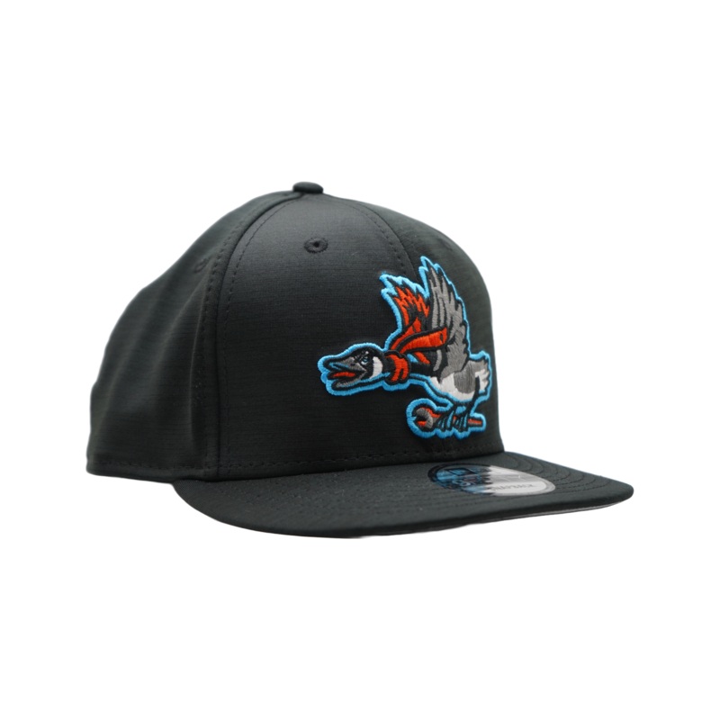 Beloit Sky Carp New Era 9Fifty Home Clubhouse Flat Bill Snapback Hat
