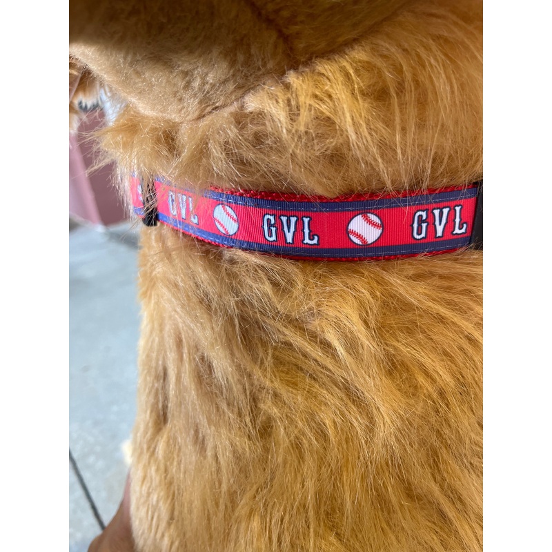 Paw Paws GVL Baseball Dog collar