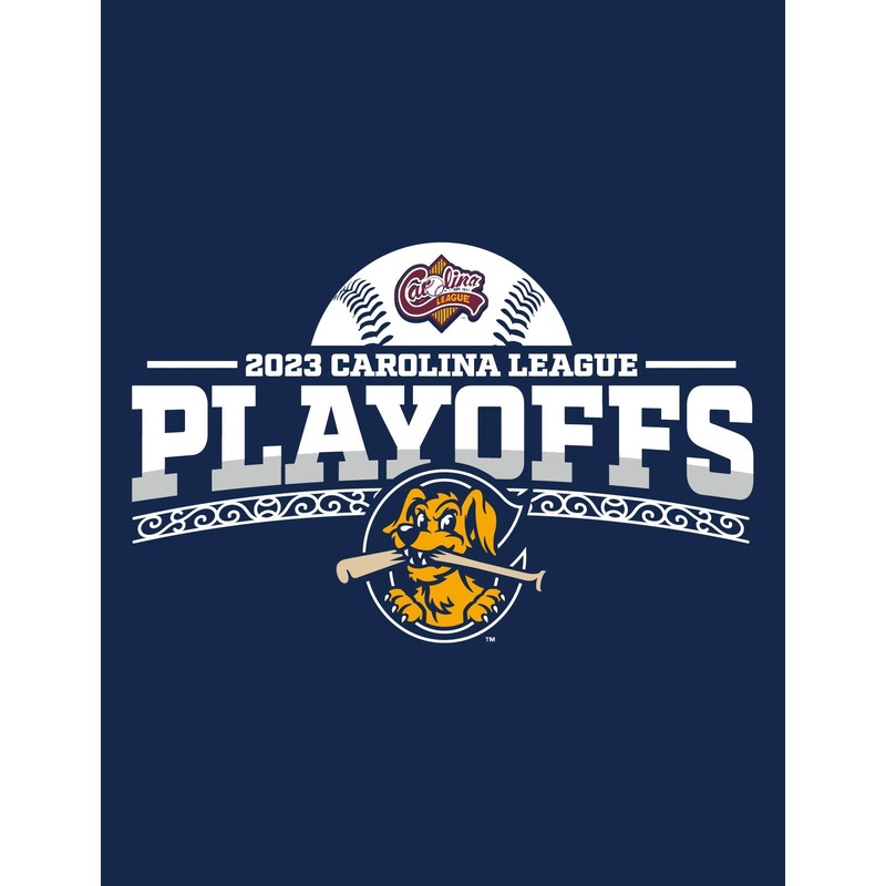 Charleston RiverDogs 2023 Back-to-Back-to-Back Playoffs Tee