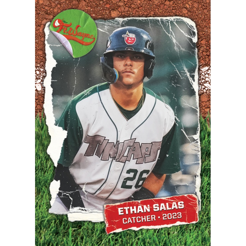 Fort Wayne TinCaps 2023 Team Expansion Pack
