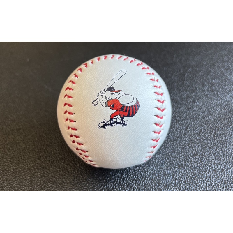 Rawlings 1969 Charlotte Hornets Baseball
