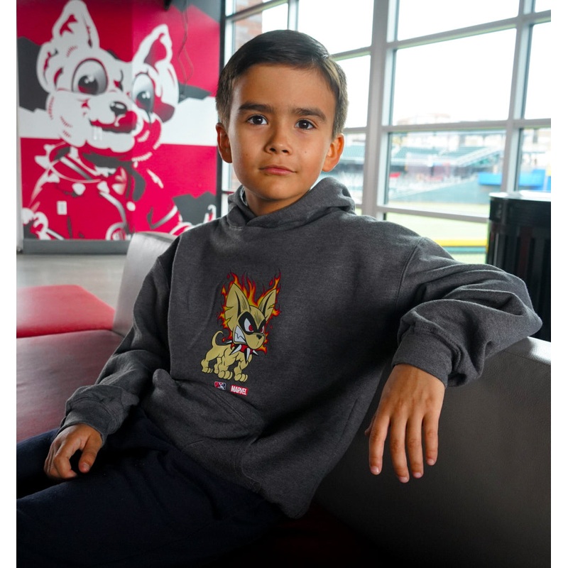 Chihuahuas Marvels Defenders of the Diamond Charcoal Youth Hoodie