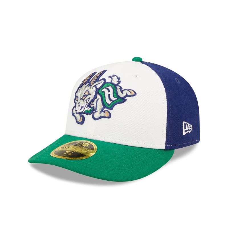 Hartford Yard Goats New Era Low Profile Official Pinwheel Cap