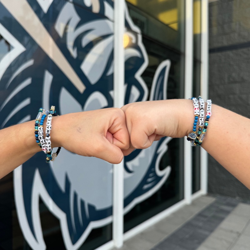 Tampa Tarpons Friendship Bracelets