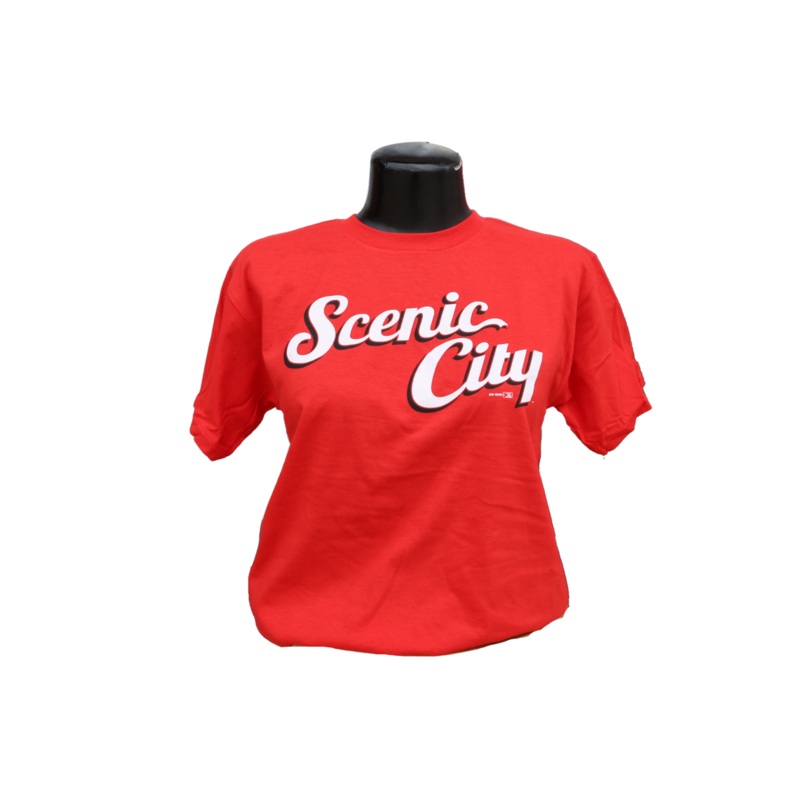 Chattanooga Lookouts Youth Scenic City Softstyle Tee