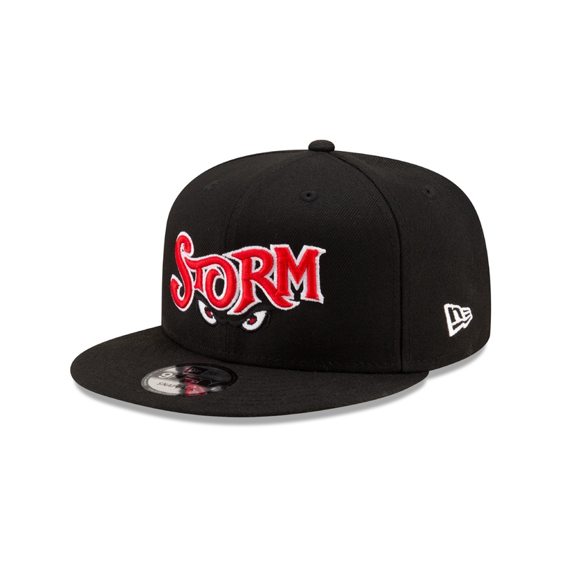 Lake Elsinore Storm New Wordmark Black 950