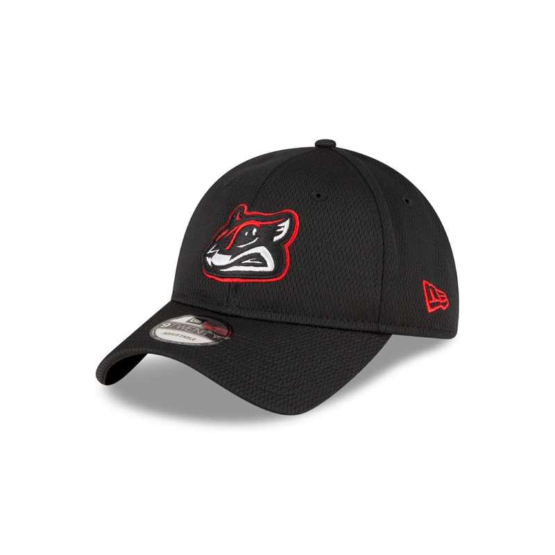 Richmond Flying Squirrels New Era BP 9Twenty