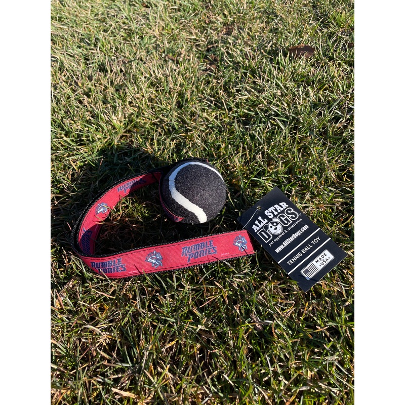 BRP Tennis Ball Dog Toy