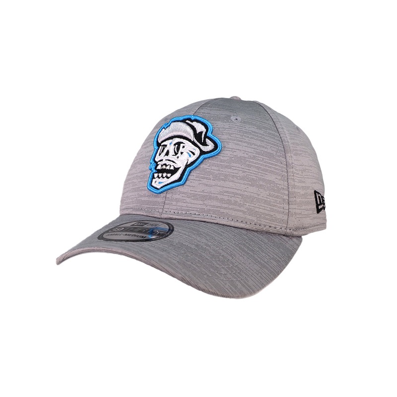 Reyes de Plata New Era Skull Gray Digi Tech 39THIRTY Stretch Fit Hat