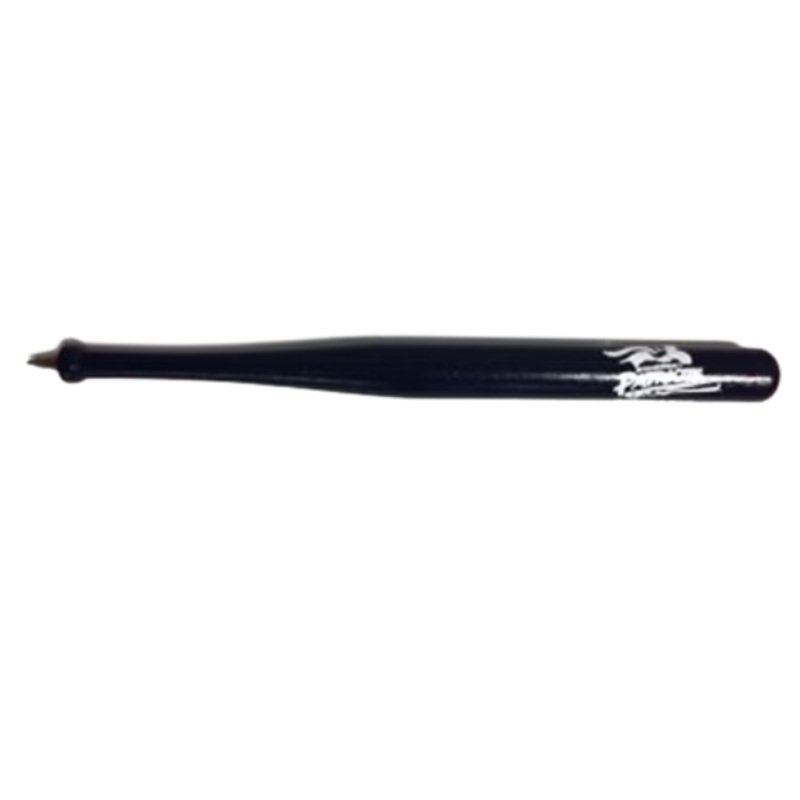 Somerset Patriots Pen