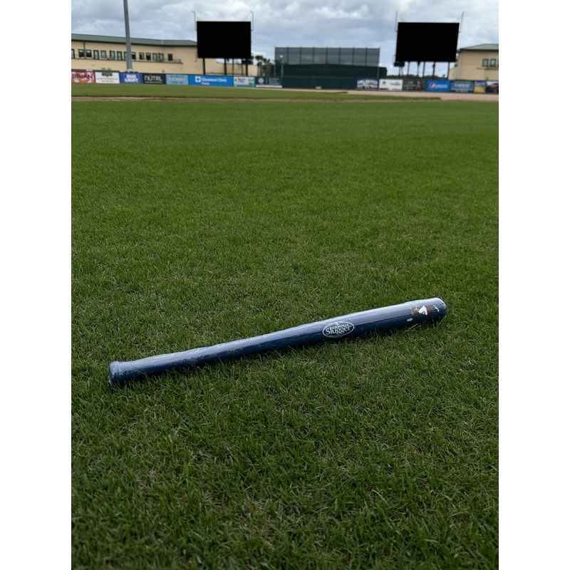 St. Louis Cardinals ’20 Navy Mini Bat