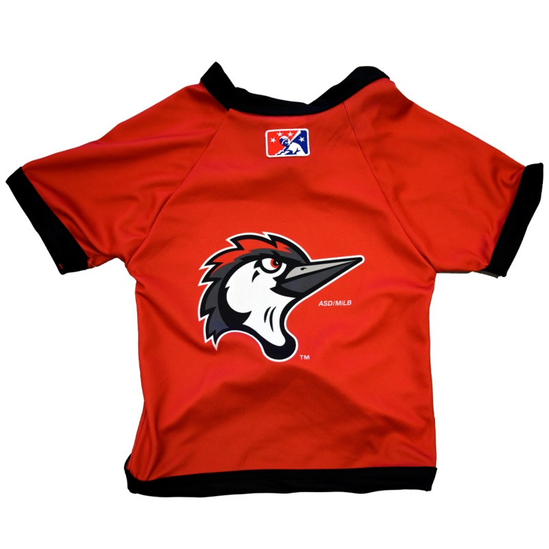 Fayetteville Woodpeckers All Star Dogs Home Cap Logo Jersey