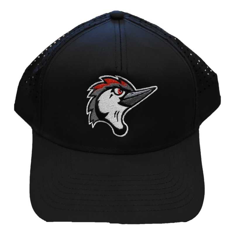 Fayetteville Woodpeckers American Needle Pacific Coast Adjustable Cap