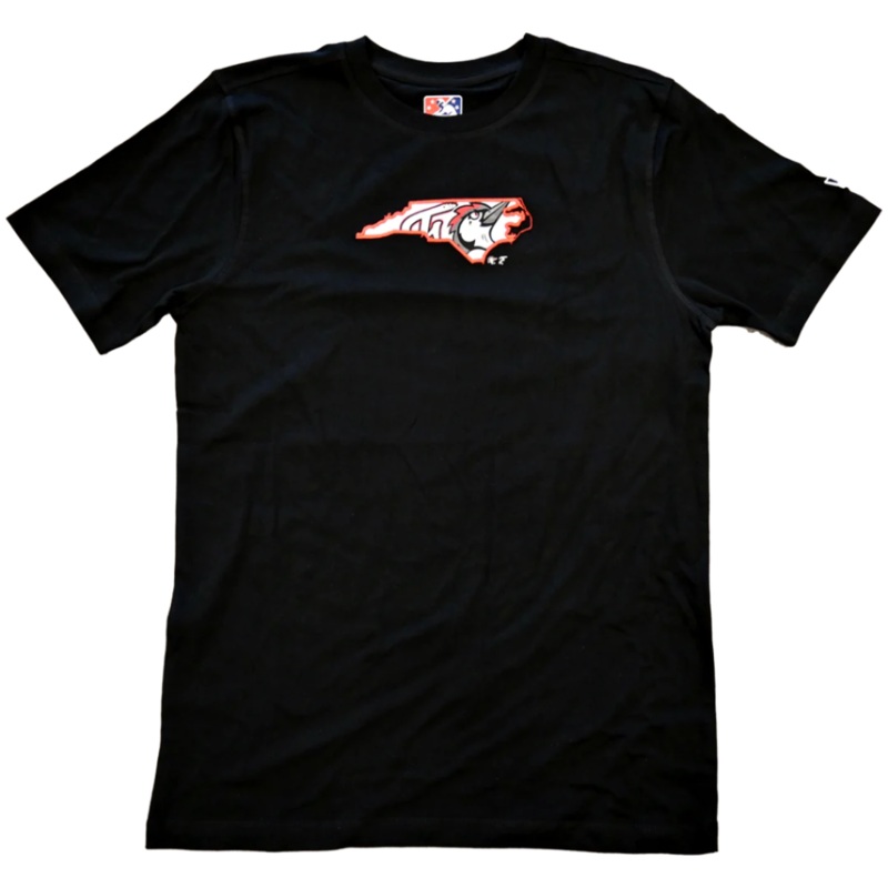 Fayetteville Woodpeckers New Era Men’s State Logo T-Shirt