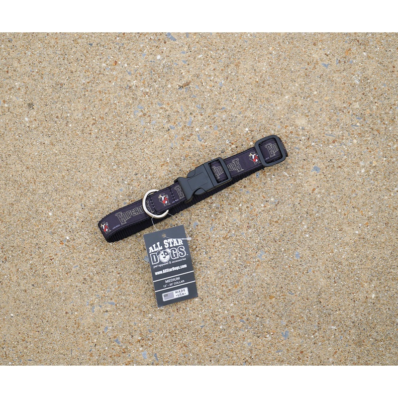 Rome Emperors Dog Collar